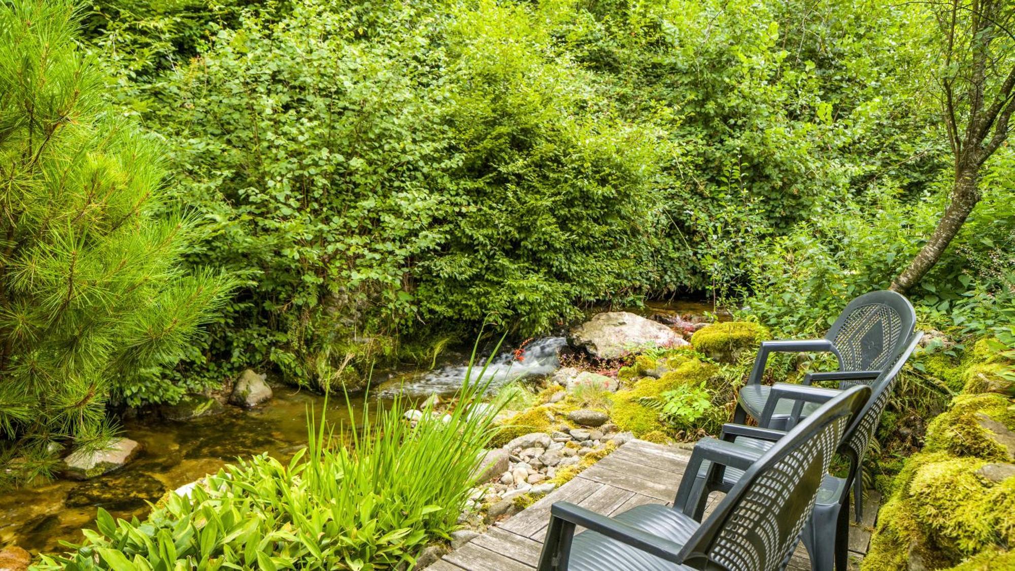 Apartament Haus Miriam Münstertal Zewnętrze zdjęcie